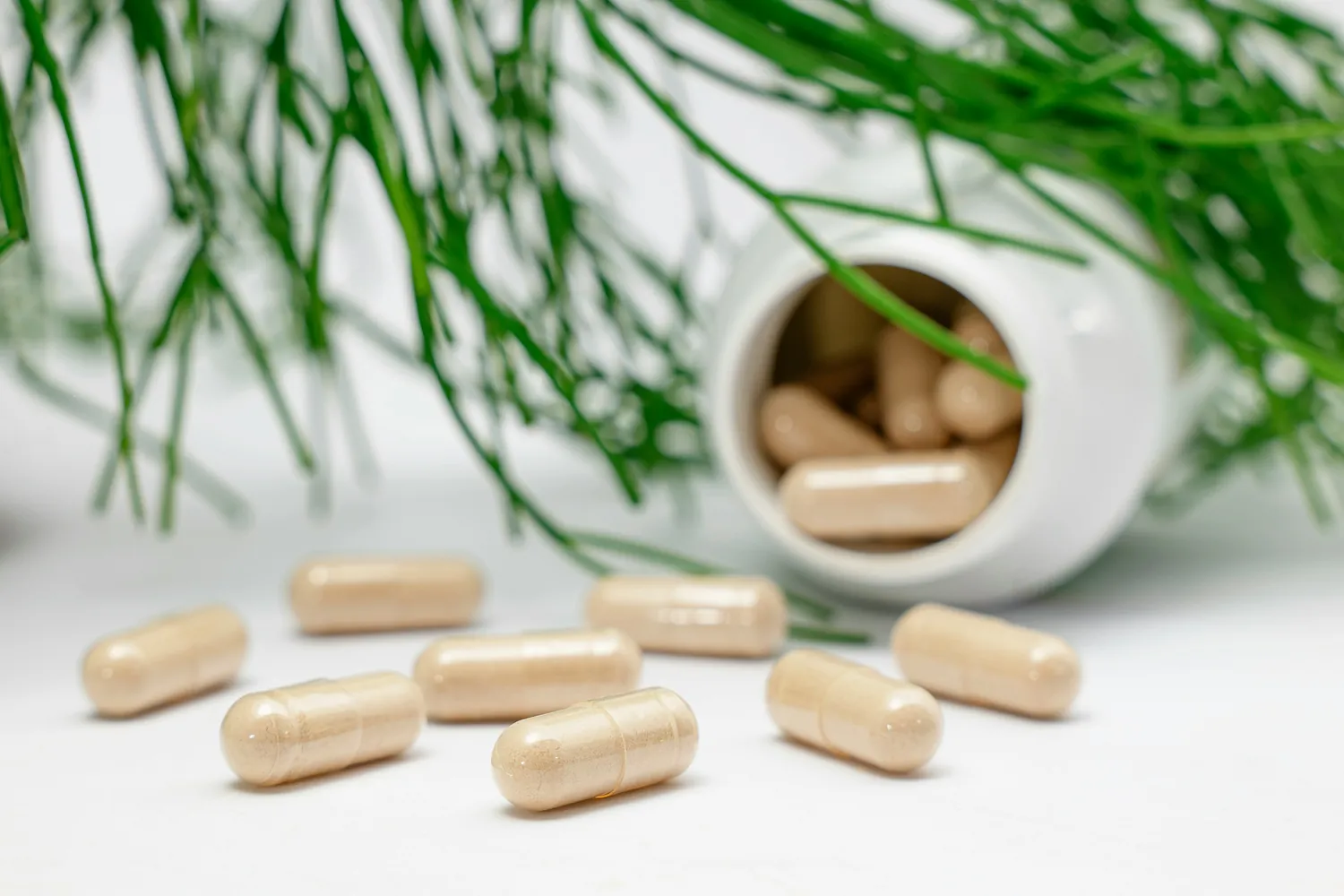 A Guide to Choosing Safe Herbal Supplements for Weight Loss